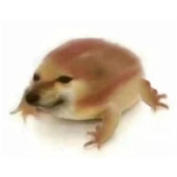 potatoavocado